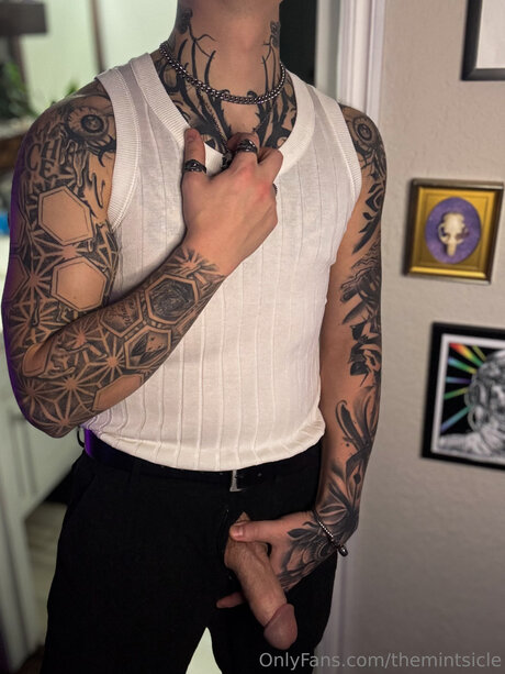 Themintsicle heiße foto