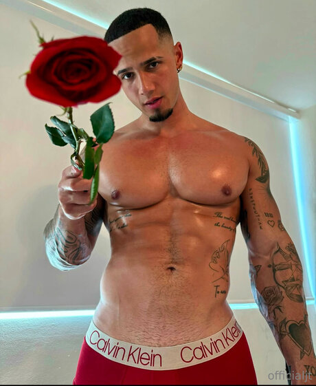 Officialjt hübsche erwachsene galerien