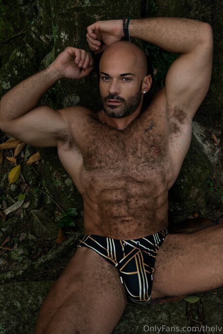 Thelv kunst freie bilder