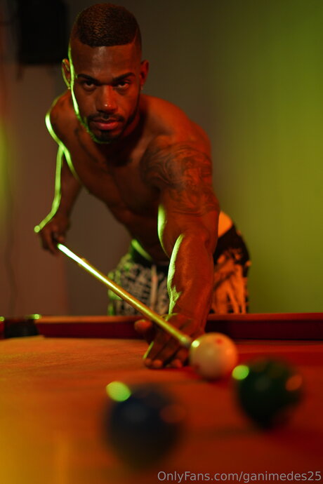 Ganimedes25 schöne pornographische galerie