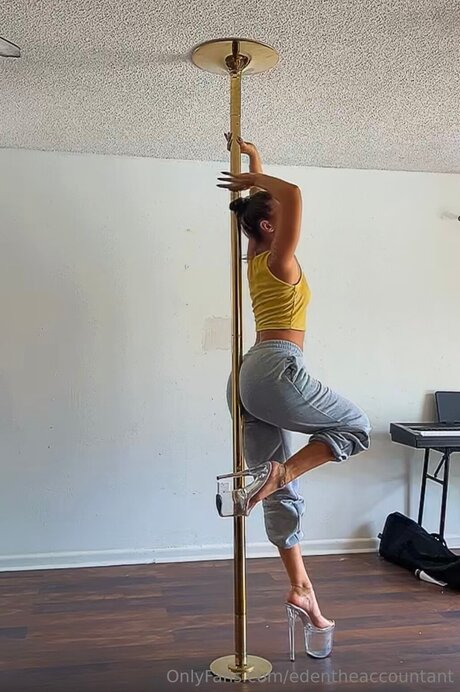 Edentheaccountant erwachsene top archiv