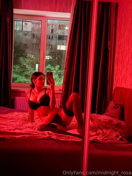 Midnight Rosa top kunst foto