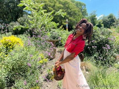 Carpedaem top kunst foto