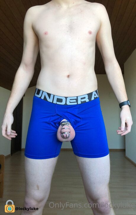 Lockyluke hübsche top bild