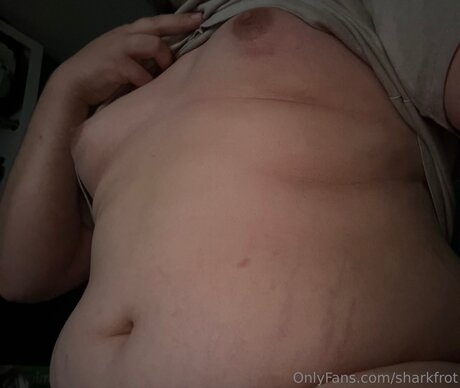 Sharkfrot kostenlose pornographische galerien