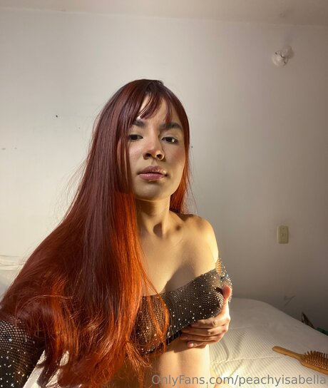 Morceel freie schöne galerien