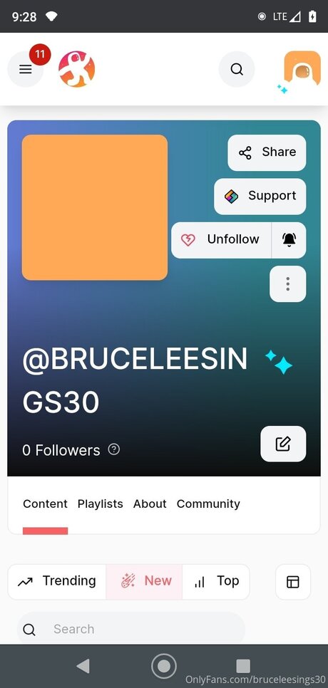 Bruceleesings30 exklusive kunst foto