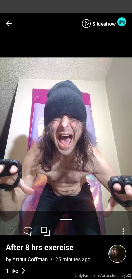 Bruceleesings30 freie schöne galerien