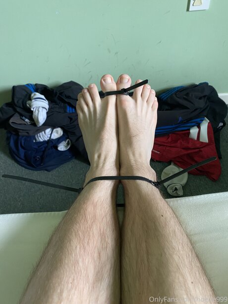 Hogtie999 kostenlose hd bilder