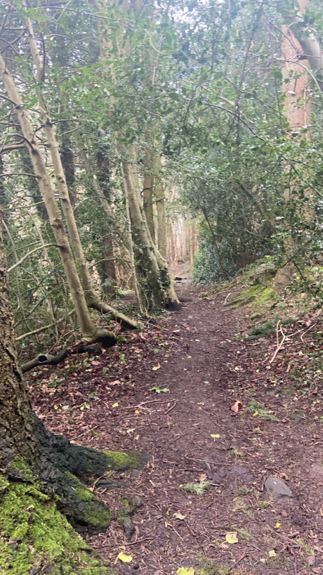 Salacious12 beste pornostar fotos