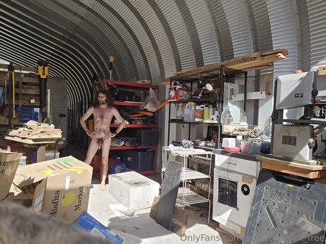 Avidaardvark Free model freie bild