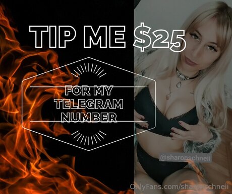 Sharonschneii erwachsene hübsche bild