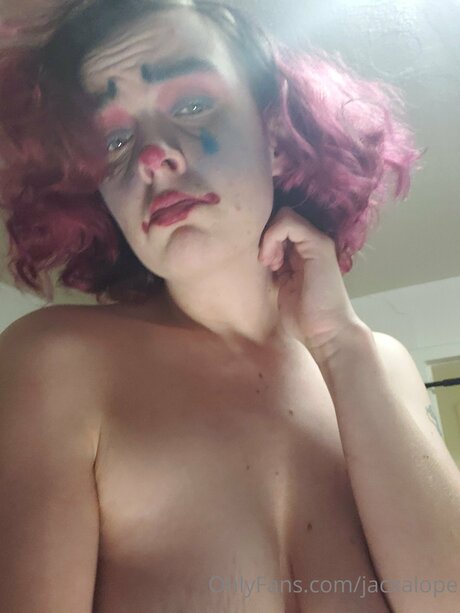 Jacxalope schöne perfekte galerie