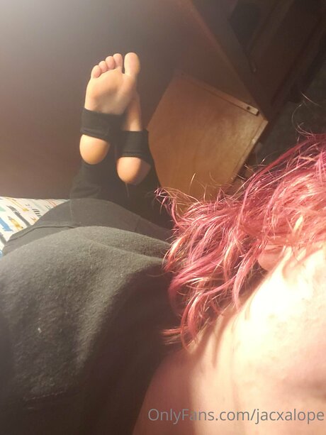 Jacxalope schauspielerin top galerie