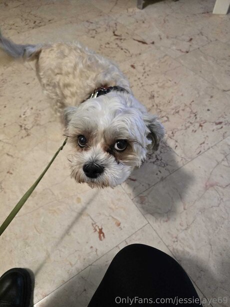 Jessiejaye69 schauspielerin exklusive galerien