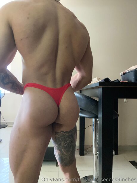niederländische onlyfans top nackte bilder
