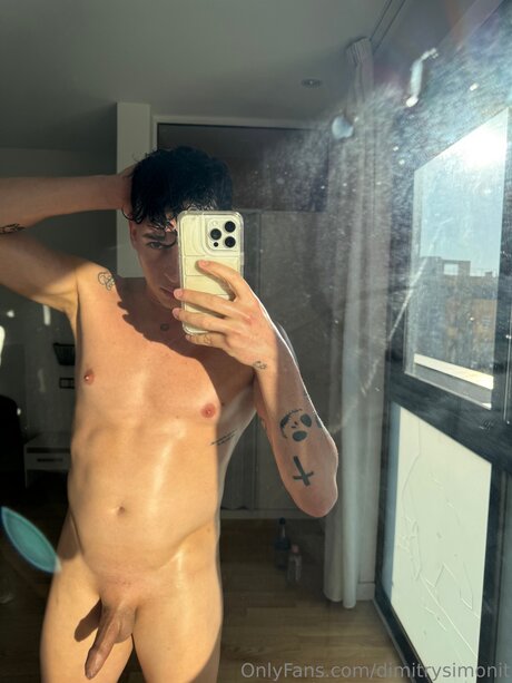 Dimitrysimonit kunst top bilder