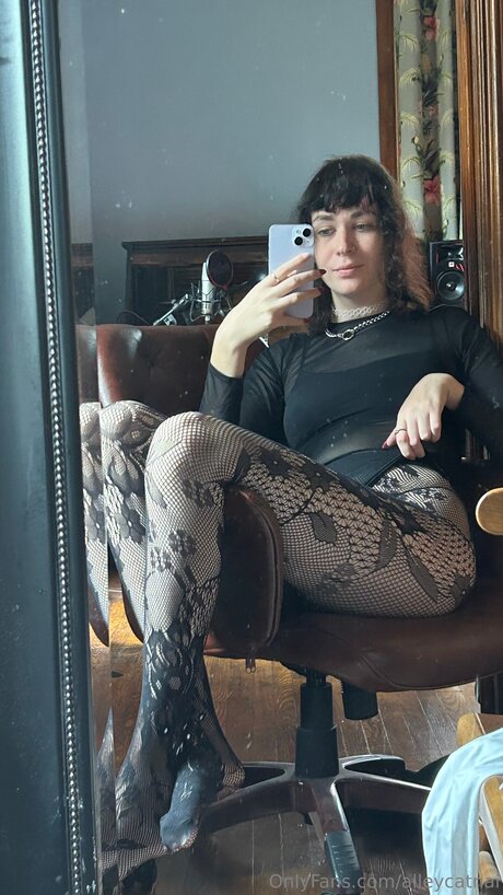 Alleycatnai exklusive schöne galerien