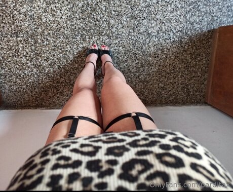 Parditax perfekte top galerie