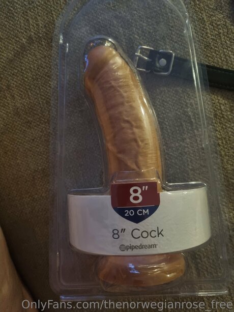 Thenorwegianrose Free model beste archiv