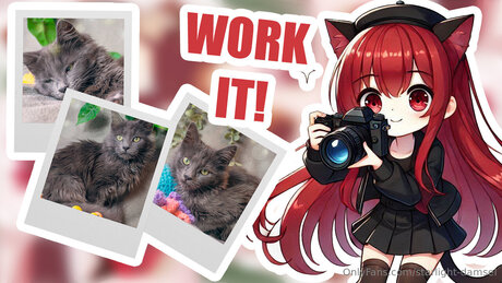 Starlight Damsel erwachsene sexy bild