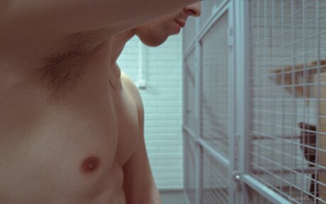 Gayoffinland porno akt galerien