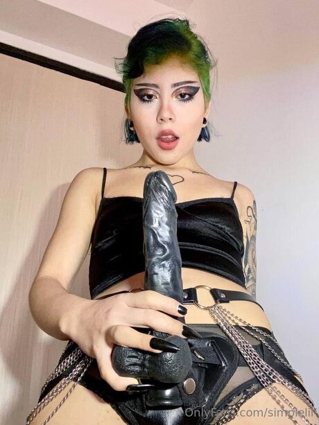 Simplelil perfekte schöne galerie