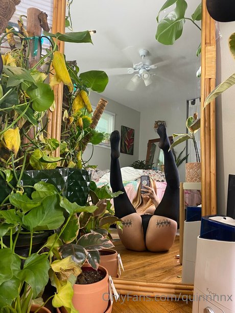 Quinnnnx hübsche fotos