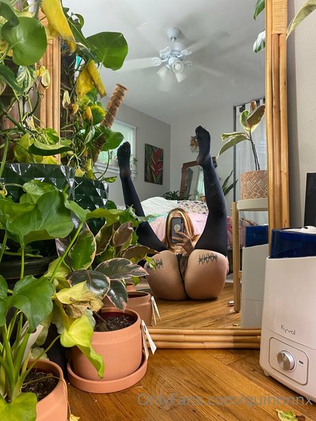 Quinnnnx akt pornostar bild