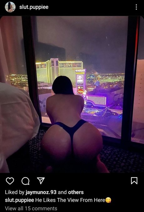 Slut Puppie perfekte top bilder