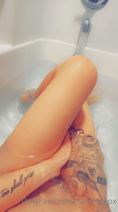 Tara Rose_ perfekte kostenlose bild