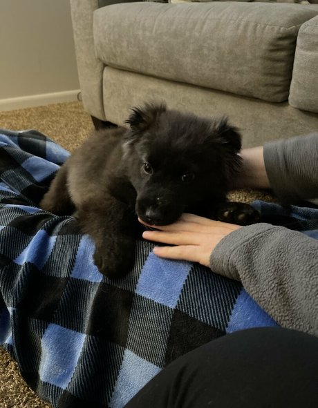 Summerreese Profilbild