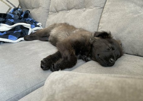 Summerreese model sexy fotos