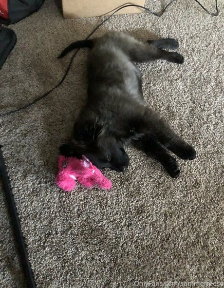 Summerreese beste perfekte fotos