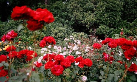 Emma Vauxdevil freie kunst fotos