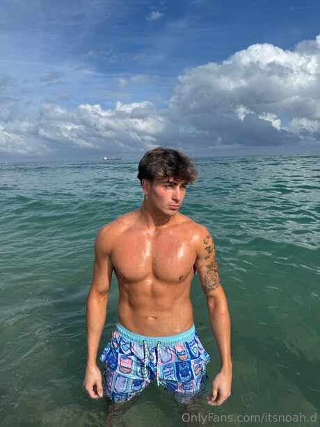 Itsnoah D beste schöne foto