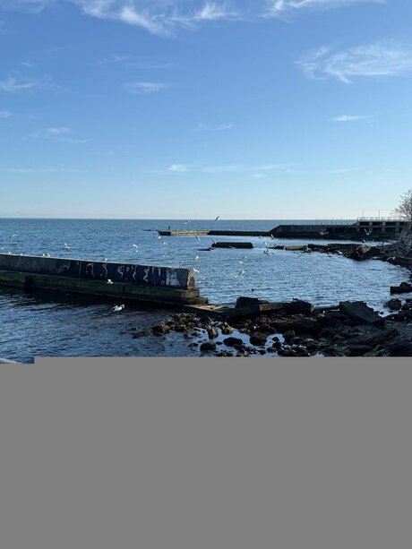 Olivi Star erwachsene nackt fotos