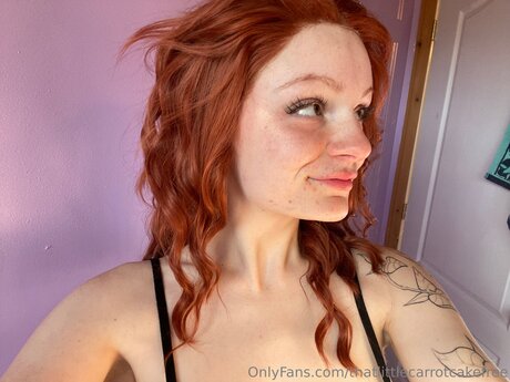 Thatlittlecarrotcakefree hd hübsche foto