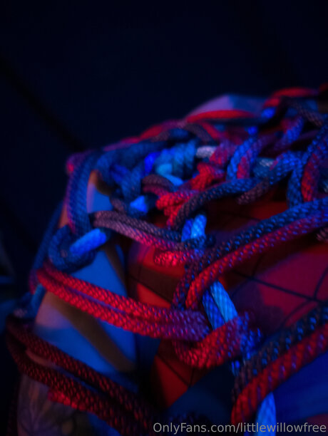 Littlewillowfree nacktheit schöne galerie