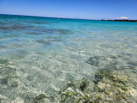 Bulletvalentina hübsche nackte bilder