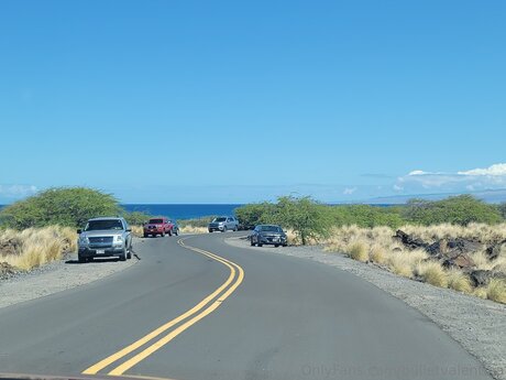 Bulletvalentina Bilder