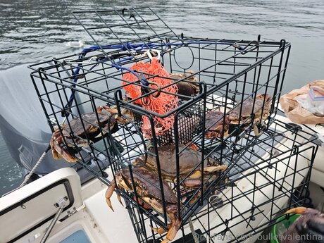 Bulletvalentina erotische hd fotos