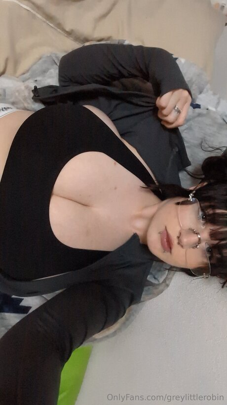 Greylittlerobin erwachsene exklusive bild