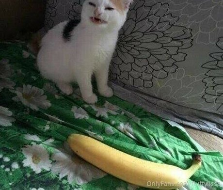 Fluffylissa porno nackte bild