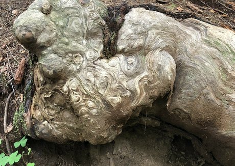 UnicornButtStuff hd sexy bild