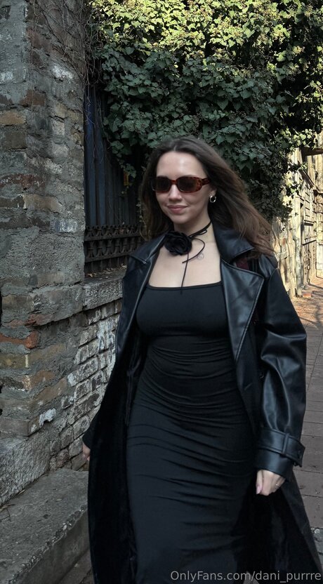 Dani Purrre kunst pornographische galerie