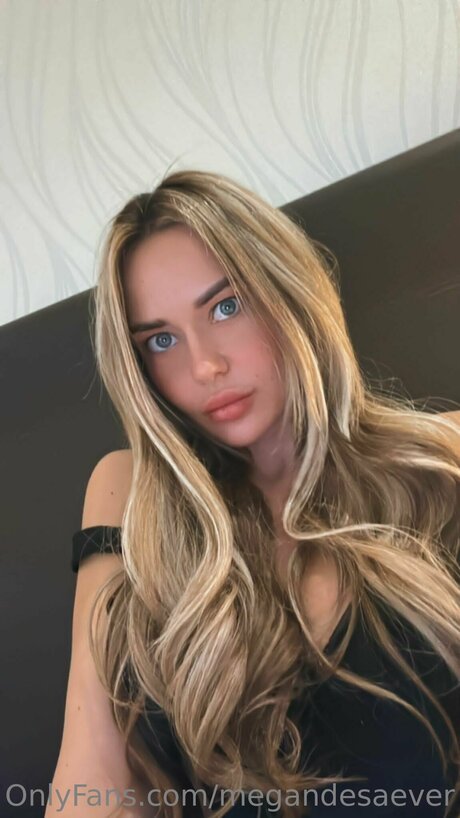 Megandesaever erwachsene schöne galerien