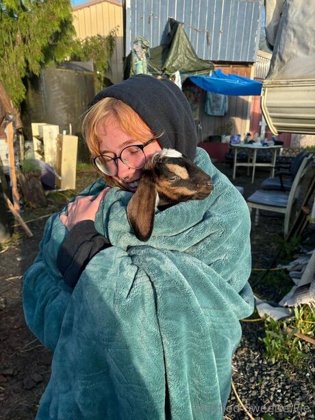 Certifiedsweetiepie schauspielerin akt bilder