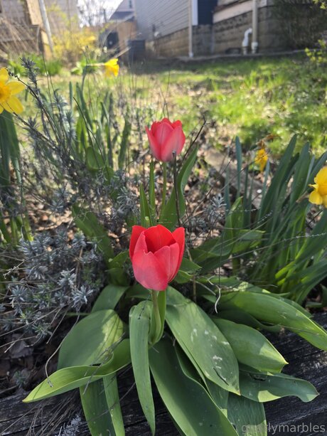 verbreitung von onlyfans hd sex fotos