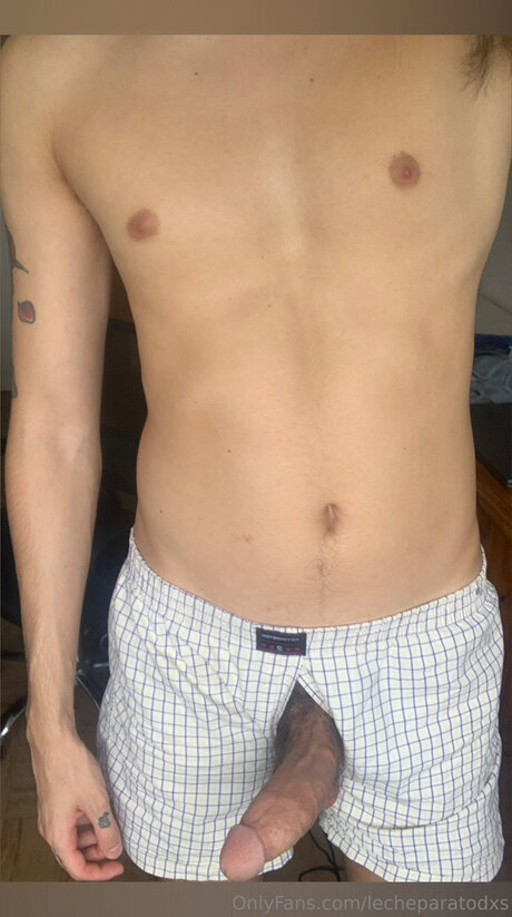 Lecheparatodxs top freie bild